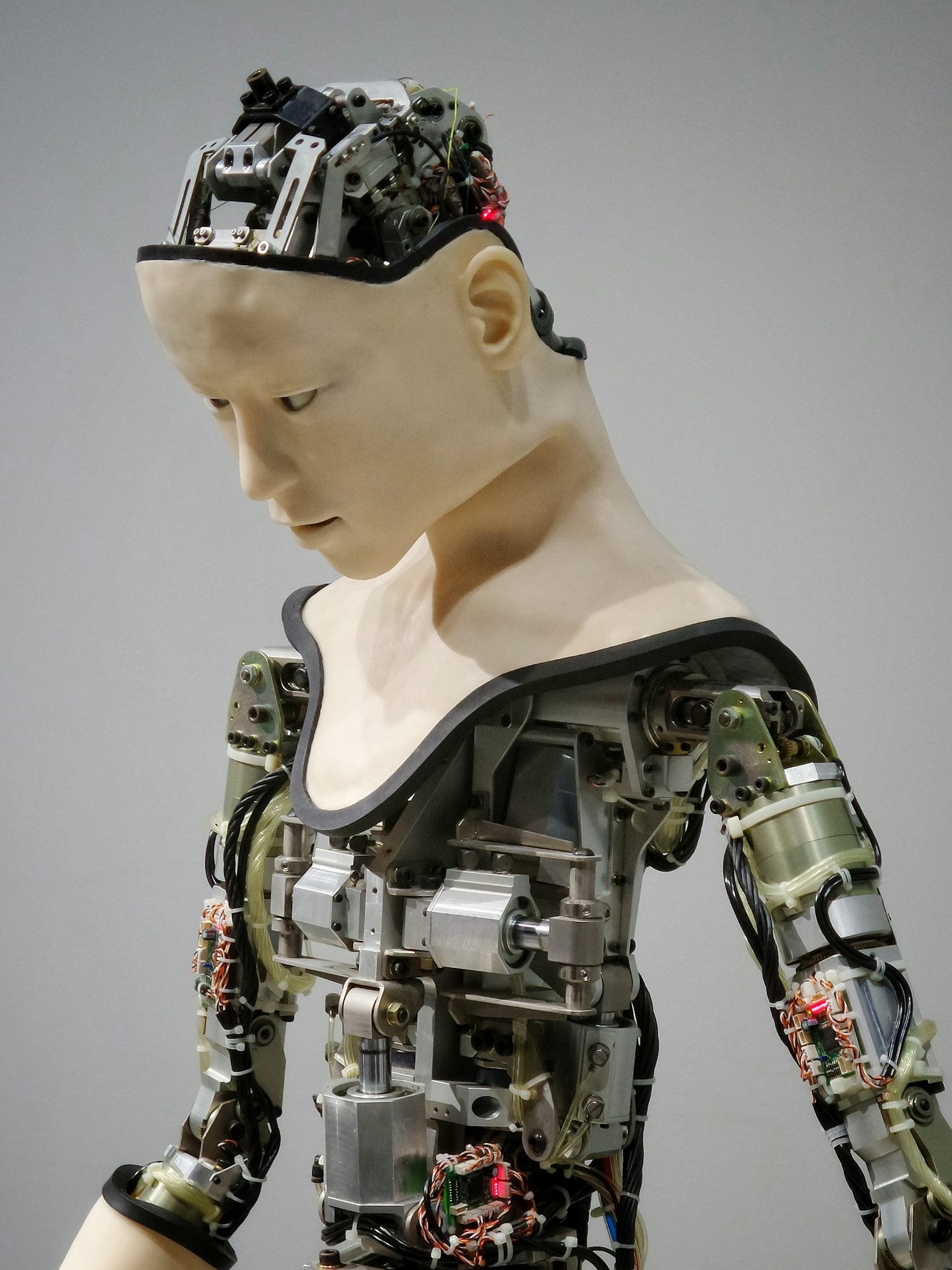 Consumer Insights: Making Sense of AI Options